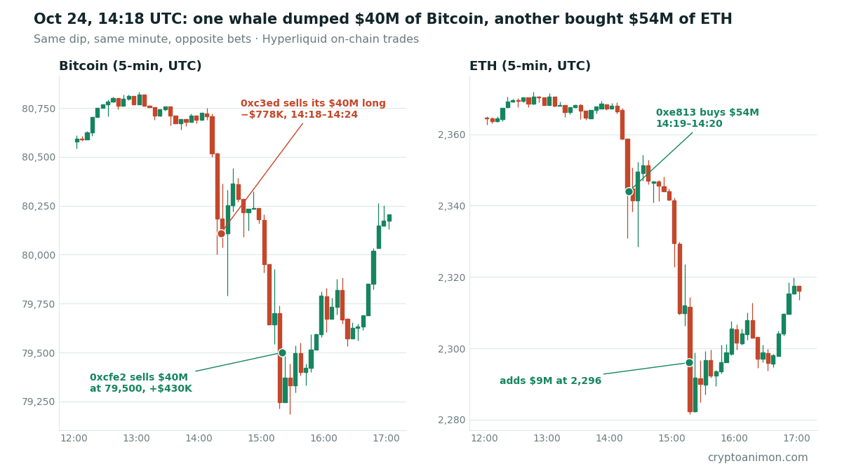 Bitcoin and ETH 5-minute candles on Hyperliquid, Oct 24, 12:00–17:00 UTC. Bitcoin dropped from about 80,700 to 79,184. 0xc3ed sold its $40M long between 14:18 and 14:24 UTC for a $778K loss, and 0xcfe2 sold $40M at 79,500 for a $430K profit. On ETH, 0xe813 bought $54M at 14:19–14:20 and added $9M at 2,296.